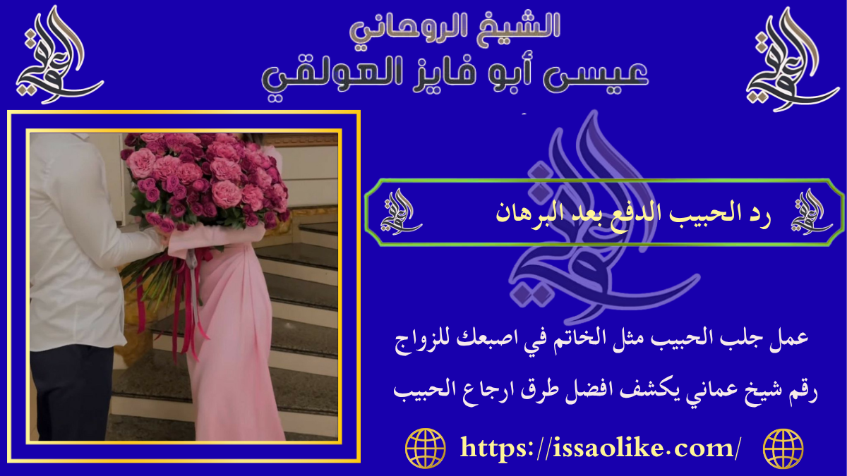 رد الحبيب الدفع بعد البرهان